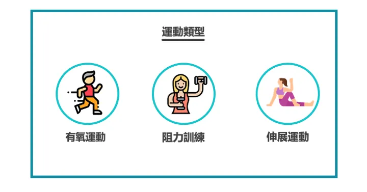 資訊圖：運動類型——有氧運動、阻力訓練、伸展運動