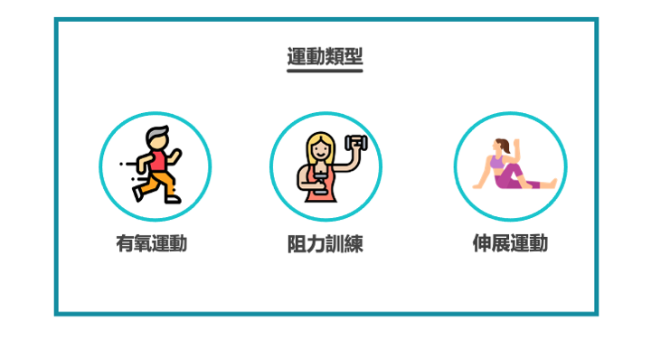 資訊圖:運動類型——有氧運動、阻力訓練、伸展運動